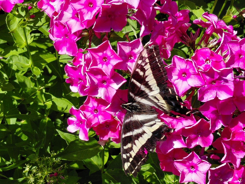 Slideshow image