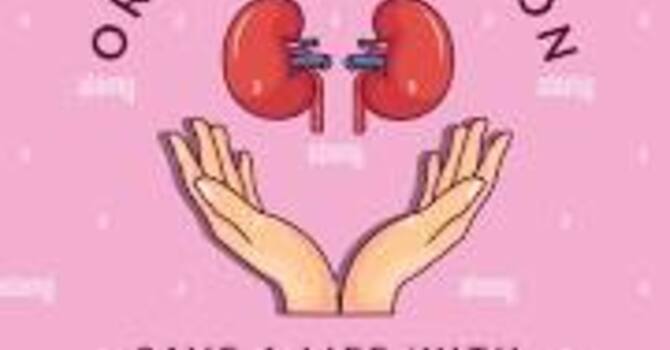 Kidney Donation  image