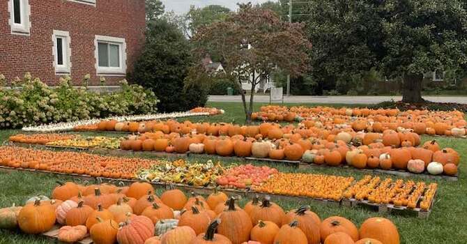 Pumpkin Patch