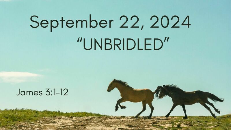 Unbridled