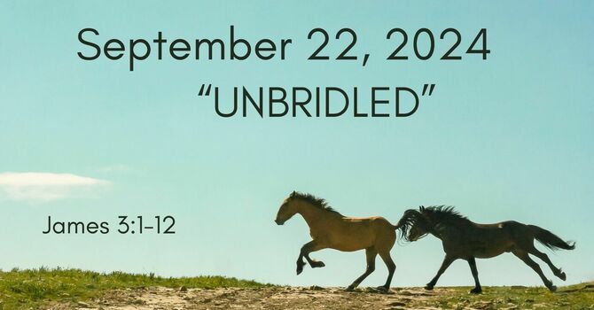 Unbridled