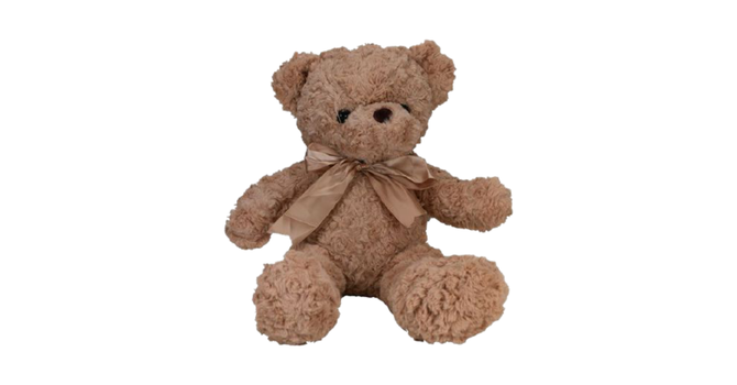 Prayer Bears