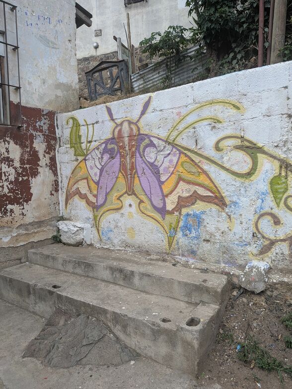 Slideshow image