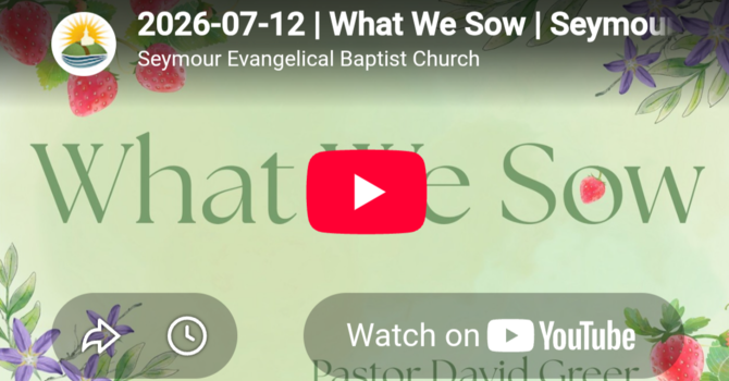 What We Sow