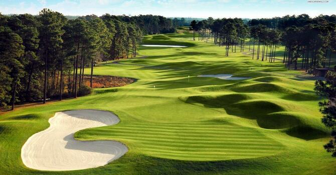 Men's Golf image