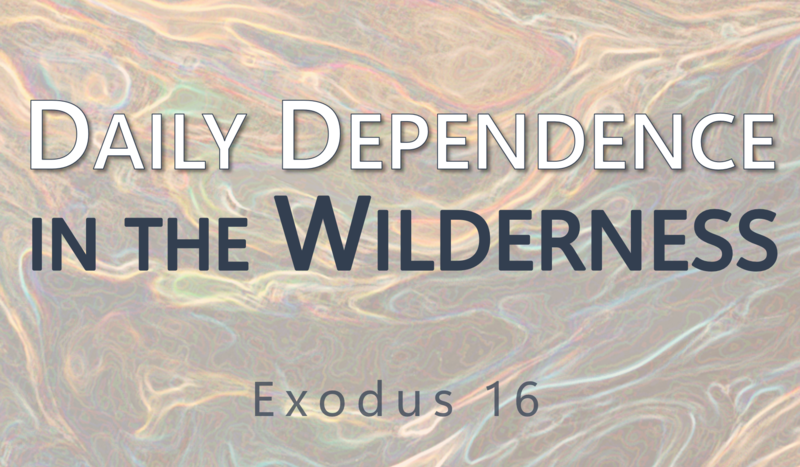 This Sunday's Message... "Daily Dependence in the Wilderness"