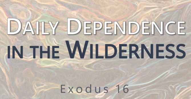 This Sunday's Message... "Daily Dependence in the Wilderness"