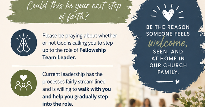 Fellowship Team Leader Needed! image