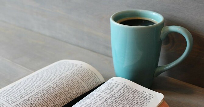 Daily Bible Reading Plan