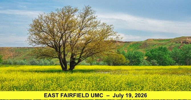 The Mighty Mustard Seed image