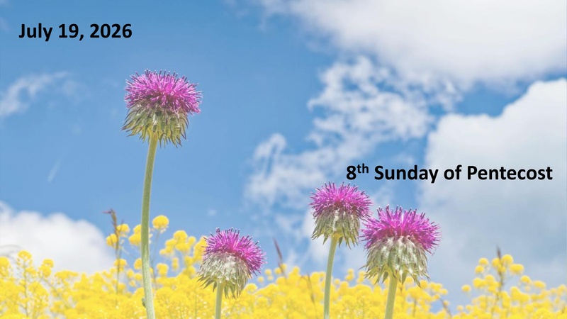 Sermon: "Are You a Botanist?"