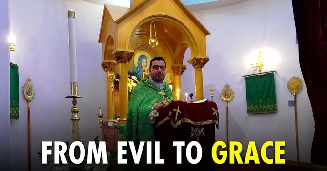Why Does God Allow Evil? The Parable of the Wheat and the Weeds