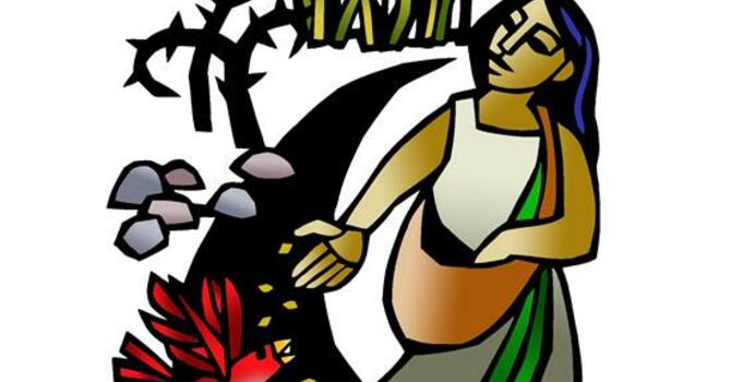 PENTECOST 7_LECTIONARY 15_2026-07-12 Worship