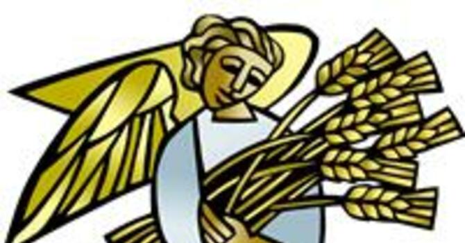 Order of Worship and Livestream Text, July 19, 2026