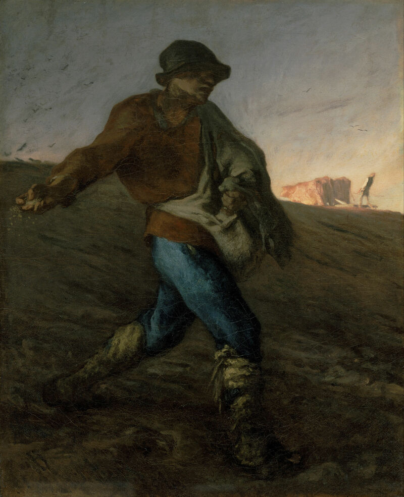 Perspectives on the Parable of the Soils
