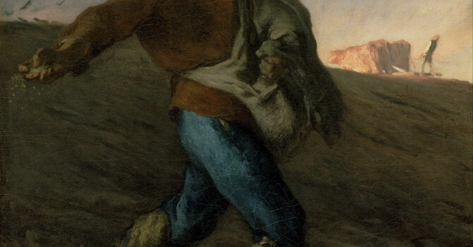 Perspectives on the Parable of the Soils