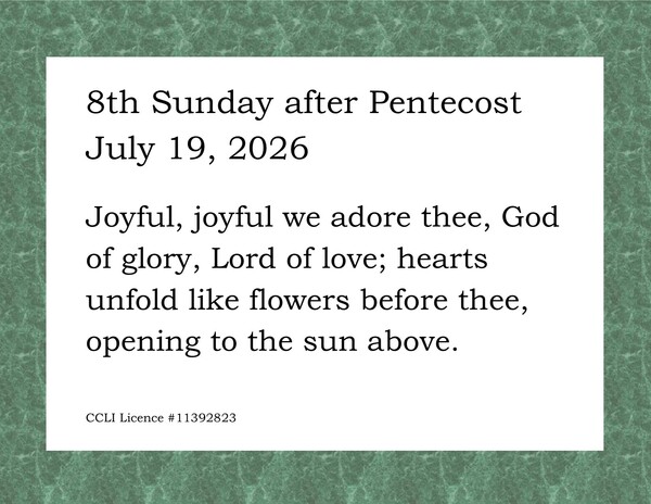 8th Sunday after Pentecost