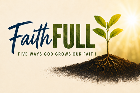 Faithfull - 2026