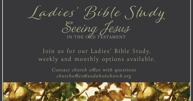 Ladies' Monthly Bible Study