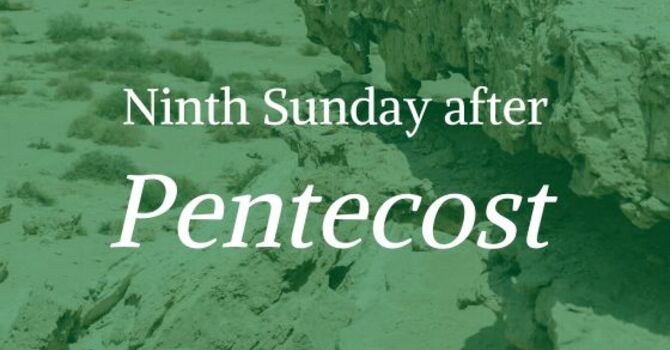 NINTH SUNDAY AFTER PENTECOST, JULY 26, 2026 image