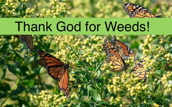 Join us for worship this Sunday morning 10:30am