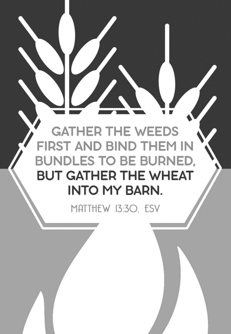 8th Sunday After Pentecost