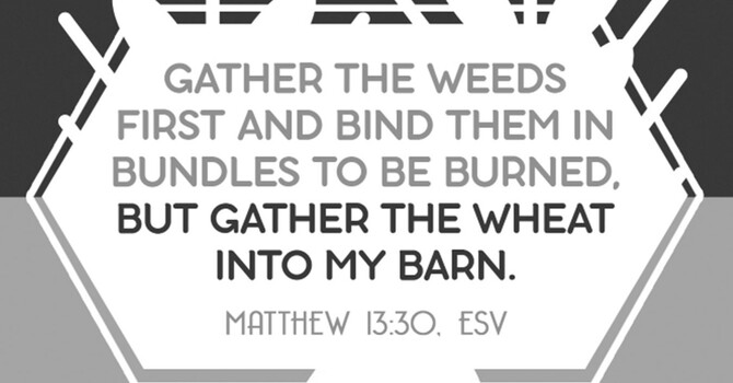8th Sunday After Pentecost