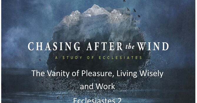 The Vanity of Pleasure, Wisdom and Work