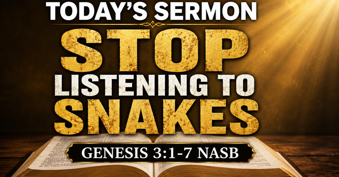 Stop Listening To Snakes 