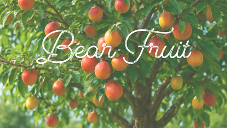 Bear Fruit  - A Series on the Fruit of the Spirit