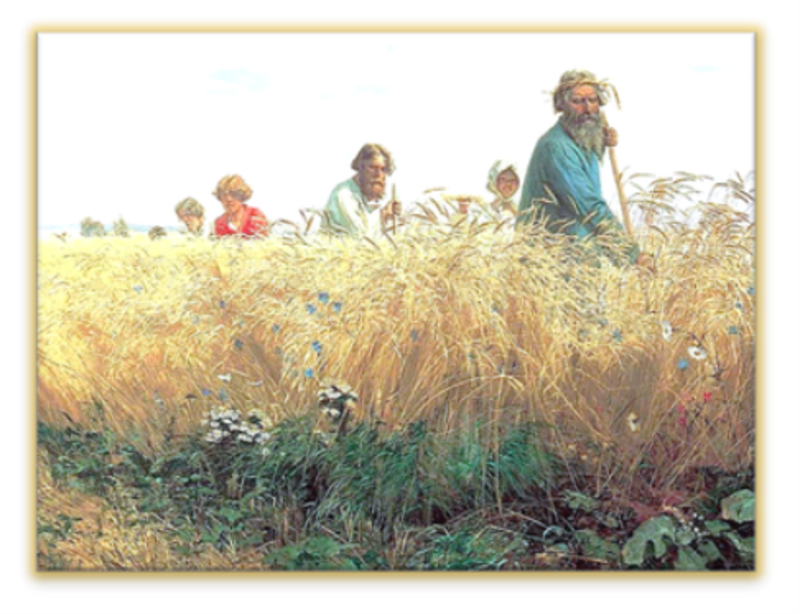 Modern Life: Wheat and Weeds