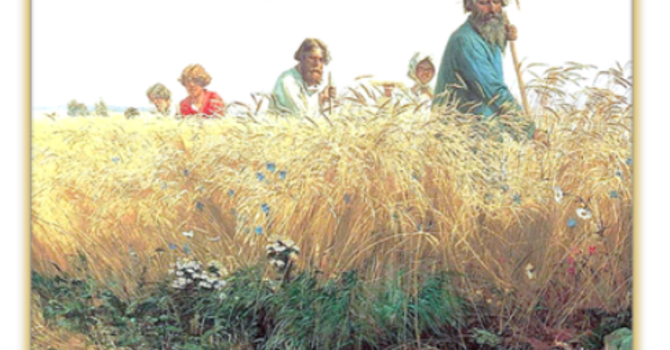 Modern Life: Wheat and Weeds