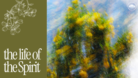 The Life of the Spirit