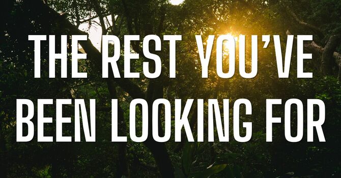 The Rest You've Been Looking For