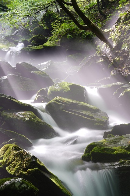 Slideshow image