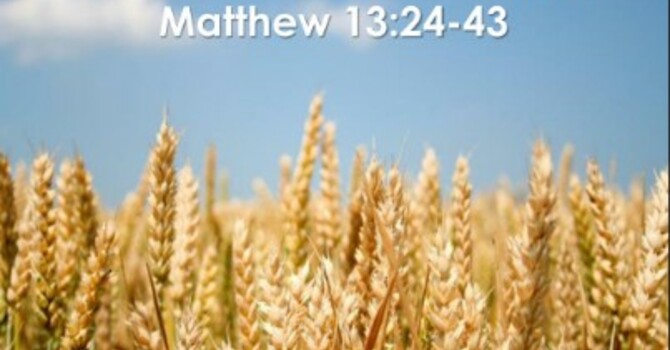 Gather the wheat into my barn