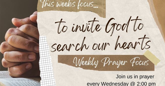 This Week's Prayer Focus