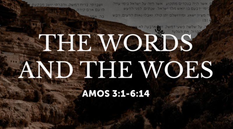 The Words and Woes