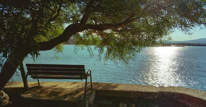 Lake Day