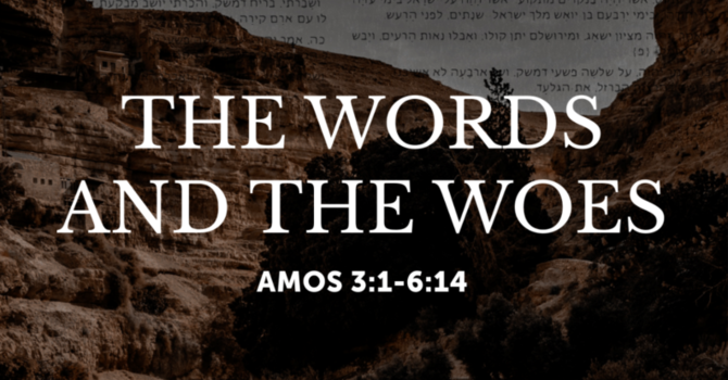 The Words and Woes