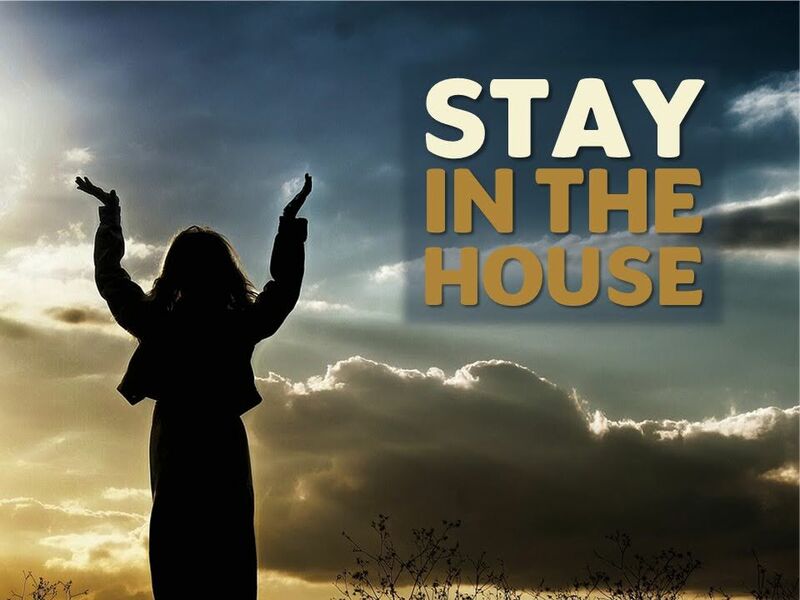 Stay In the House