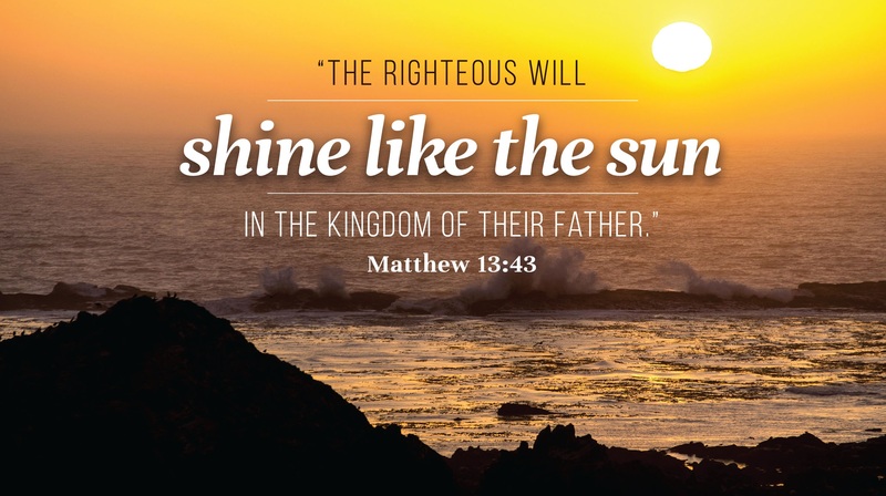 Sermon for July 19, 2026