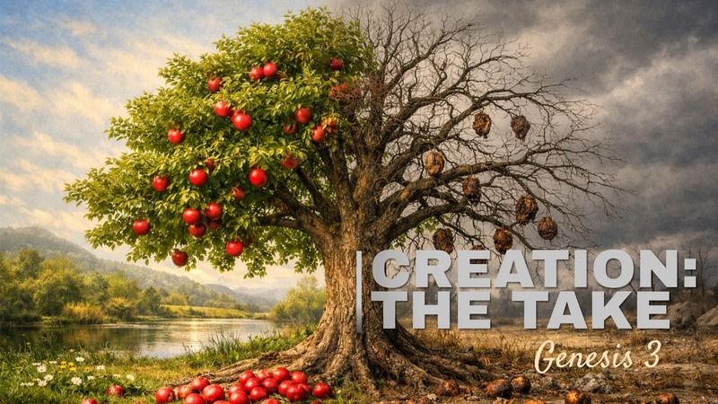 Creation: The Take