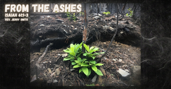 From the Ashes