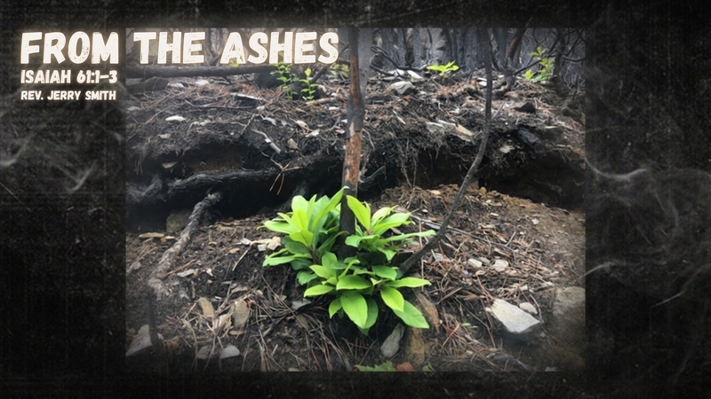 From the Ashes
