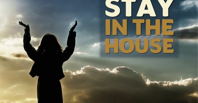 Stay In the House