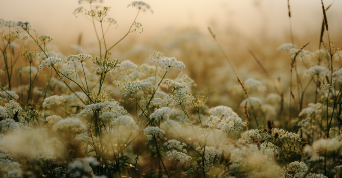 Prepare Your Heart For Worship on July 26 image