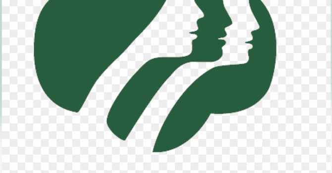 Girl Scout Meeting