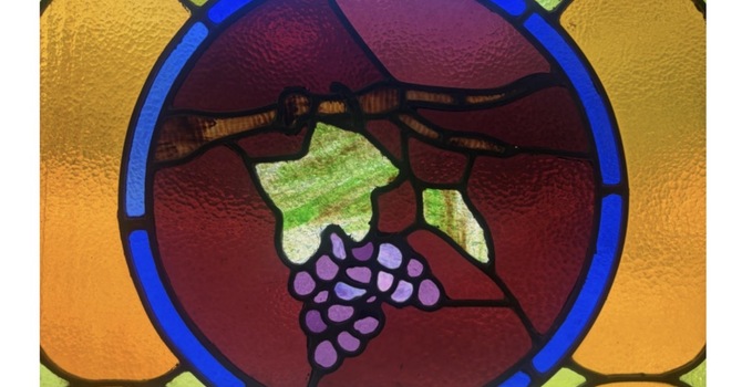 "Stories of the Stained Glass - The Grapes"