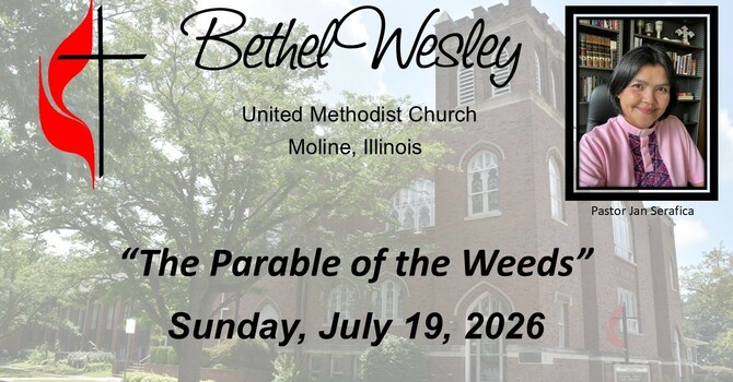 “The Parable of the Weeds"